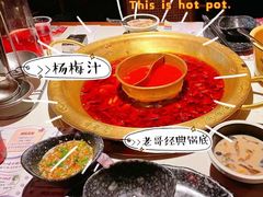 麻辣牛蛙罗宋汤锅底-哥老官重庆美蛙鱼头(虹口龙之梦店)