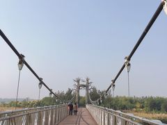 -西青郊野公园