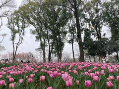 -东湖磨山景区