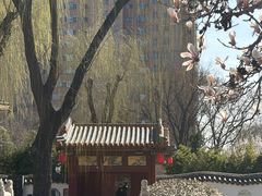 -碑林公园