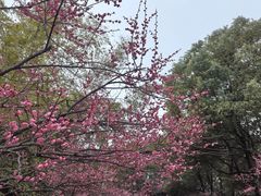 -凤凰沟景区
