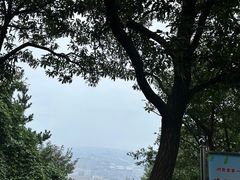 -惠山国家森林公园
