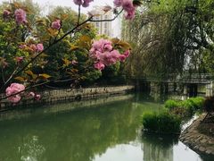 -玉山公园