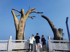 -长沙黑麋峰国家森林公园