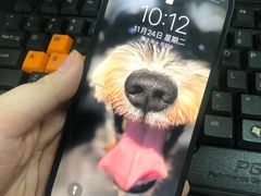 -Apple零售店(济南恒隆广场店)