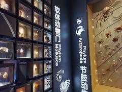 -中国湿地博物馆