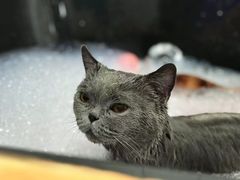 -拜鲁耶动物诊疗中心·宠家动物医院