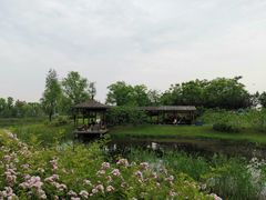 -尚贤河湿地