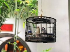 -31号公馆(黄兴广场白果园店)