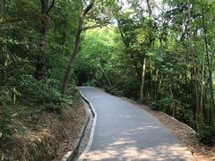 -羚羊峡古栈道森林公园