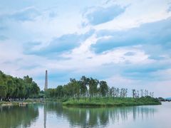 -合肥滨湖国家森林公园
