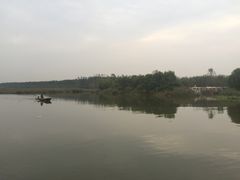 -微山湖红荷湿地景区