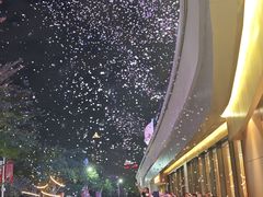 -海心沙亚运公园