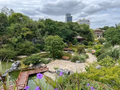 -上海吴淞炮台湾国家湿地公园