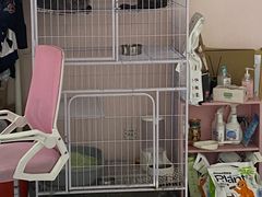-奶油猫DIY·手工·团建·美陈搭建(宝山万达店)