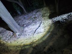 -火炉山森林公园