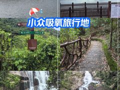 -海南热带雨林国家公园吊罗山景区