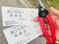 -上海滨江森林公园