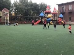 -北京梧桐树双语幼儿园