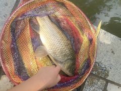 -酷鱼垂钓CLUB(朝阳区博大路店 )