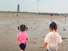 -奉贤海滩