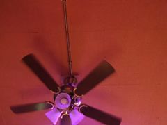 -流浪者复古西餐鸡尾酒吧(沈阳店)