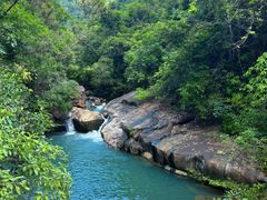 -广州白江湖森林公园