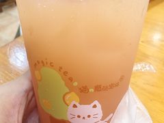 -猫的魔法密林(衣裳街店)