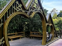 -霸王岭国家森林公园