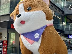 -新光里