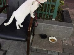 -1861意大利餐厅(文化广场店)