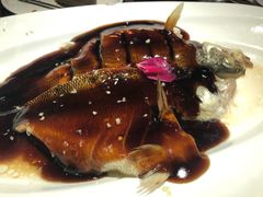 糖醋鱼-绿茶餐厅(广州天河城店)