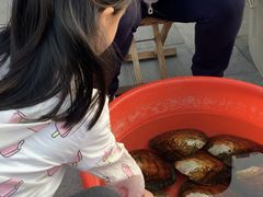 -宝龙广场(蓬莱区)