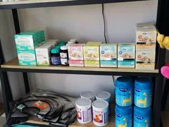 -70cat德文卷毛猫·缅因猫纯种猫舍