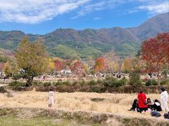 -塔川景区