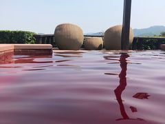-天目湖涵田度假村