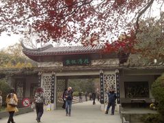 -西湖外事游船(花港观鱼码头)