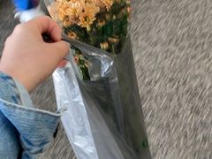 -溪岸路花鸟市场