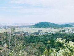 -树山生态村