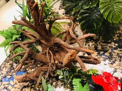 -柴米油盐(土菜院子店)