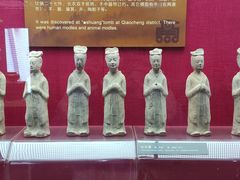 -亳州博物馆