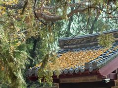 -浮来山风景区