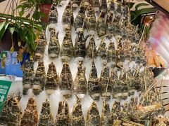 -亚马逊蒸汽活海鲜自助(LCM置汇旭辉广场店)