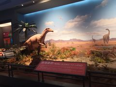 -贝林大翅鲸简餐厅(国家海洋博物馆店)