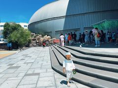 -烟台海昌鲸鲨海洋公园