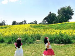 -长白岛森林公园