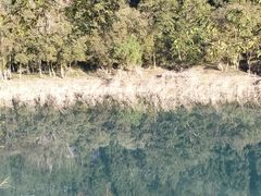 -唐崖土司城遗址