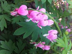 iphone_upload_pic-景山公园