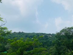 -白水寺森林公园