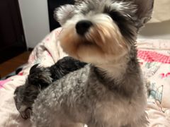 -乖乖宠物医院·猫科·骨科·24小时(云岗分院)